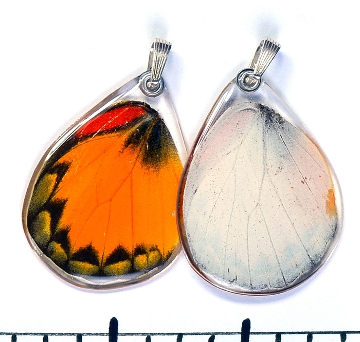 Yellow Jezebel Butterfly Choker by Simona Dedek - © Blue Pomegranate Gallery
