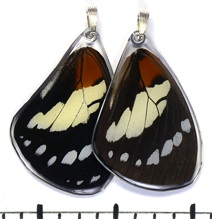 Trajan's Forest Queen Top Wing, Pendant by Simona Dedek - © Blue Pomegranate Gallery