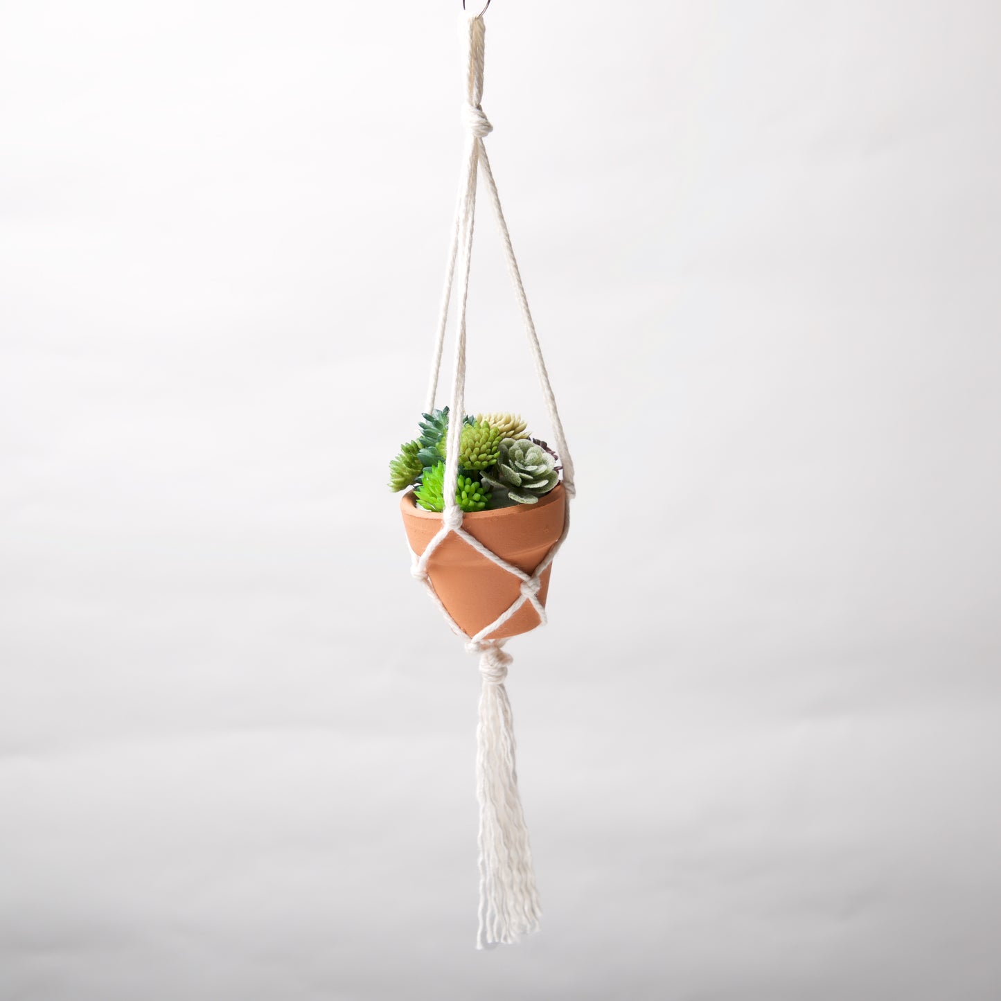 Macrame Tiny pot holder by Springer - © Blue Pomegranate Gallery