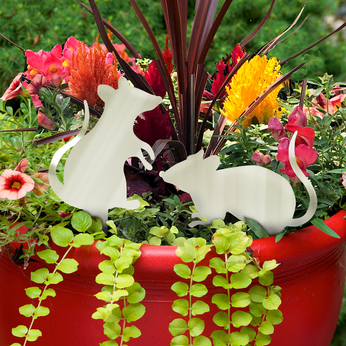 Garden Mouse Poke by Sondra Gerber - © Blue Pomegranate Gallery