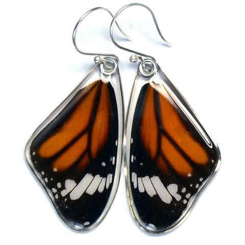 Striped Tiger Butterfly Earrings by Simona Dedek - © Blue Pomegranate Gallery