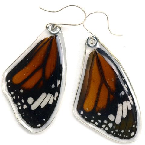 Striped Tiger Butterfly Earrings by Simona Dedek - © Blue Pomegranate Gallery