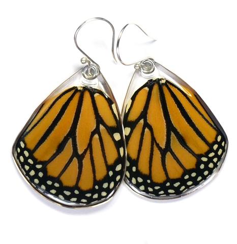 Monarch Bottom wing Butterfly Earrings by Simona Dedek - © Blue Pomegranate Gallery