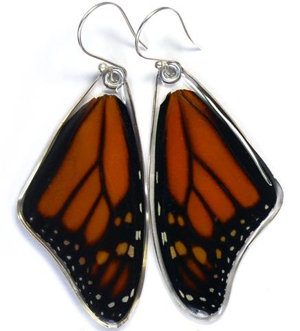 Monarch Top wing Butterfly Earrings by Simona Dedek - © Blue Pomegranate Gallery