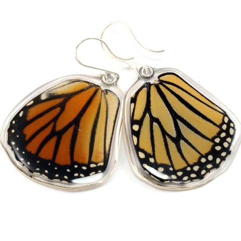 Monarch Bottom wing Butterfly Earrings by Simona Dedek - © Blue Pomegranate Gallery