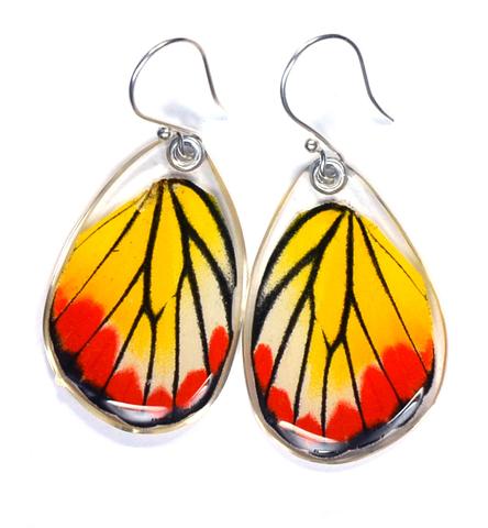 Painted Jezabel Butterfly Earrings by Simona Dedek - © Blue Pomegranate Gallery