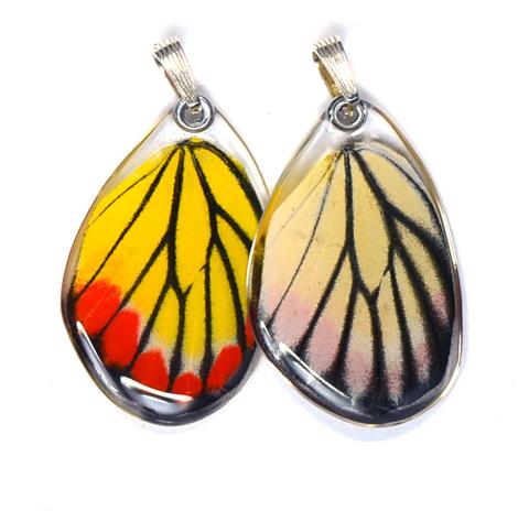 Painted Jezabel Butterfly Earrings by Simona Dedek - © Blue Pomegranate Gallery