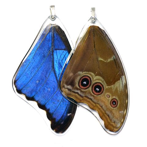 Giant Blue Morpho Butterfly Necklace by Simona Dedek - © Blue Pomegranate Gallery
