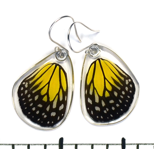 Yellow Glassy Tiger Butterfly Earrings by Simona Dedek - © Blue Pomegranate Gallery