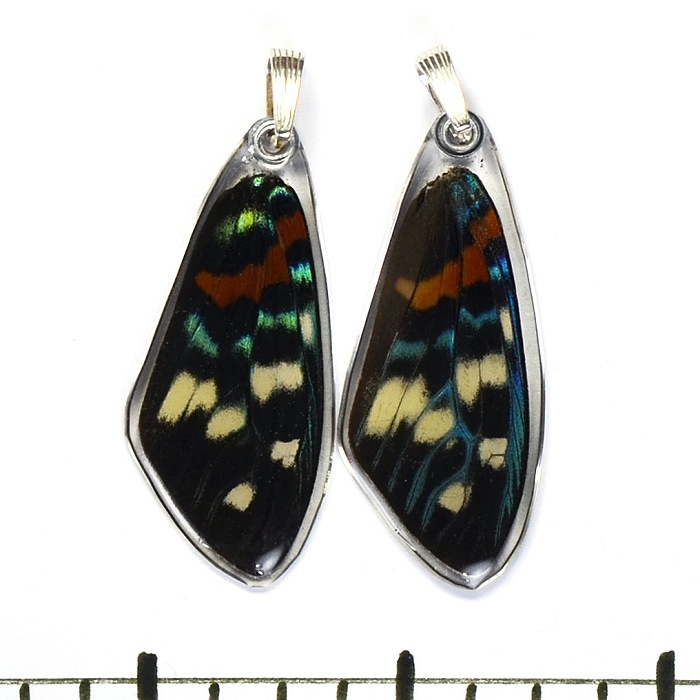 Day Flying Moth Top Wing Butterfly Choker by Simona Dedek - © Blue Pomegranate Gallery