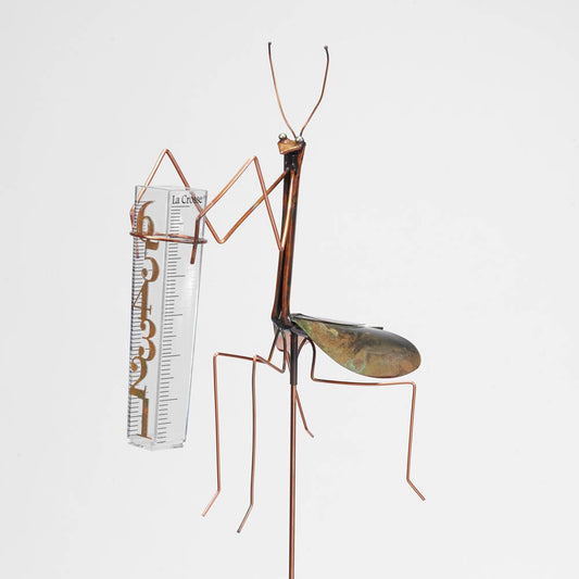 Praying Mantis Rain Guage by Catherine Murphy - © Blue Pomegranate Gallery
