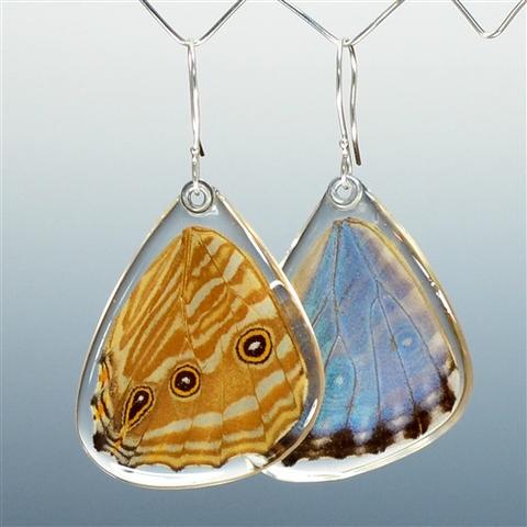 Blue Morpho Portis Butterfly Earrings by Simona Dedek - © Blue Pomegranate Gallery