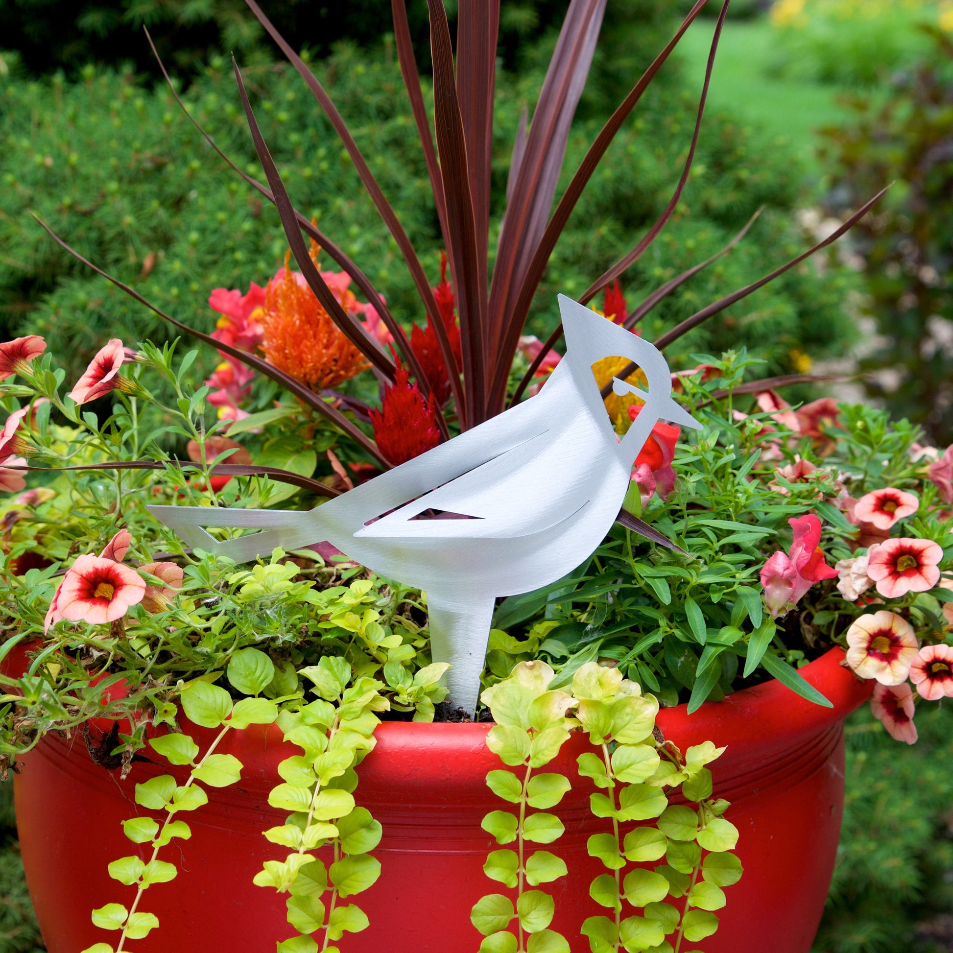 Garden Bluejay Small poke by Sondra Gerber - © Blue Pomegranate Gallery