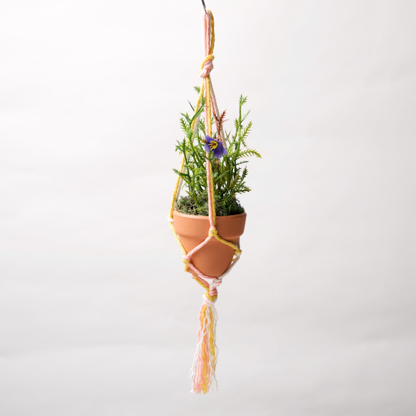 Macrame Tiny pot holder by Springer - © Blue Pomegranate Gallery
