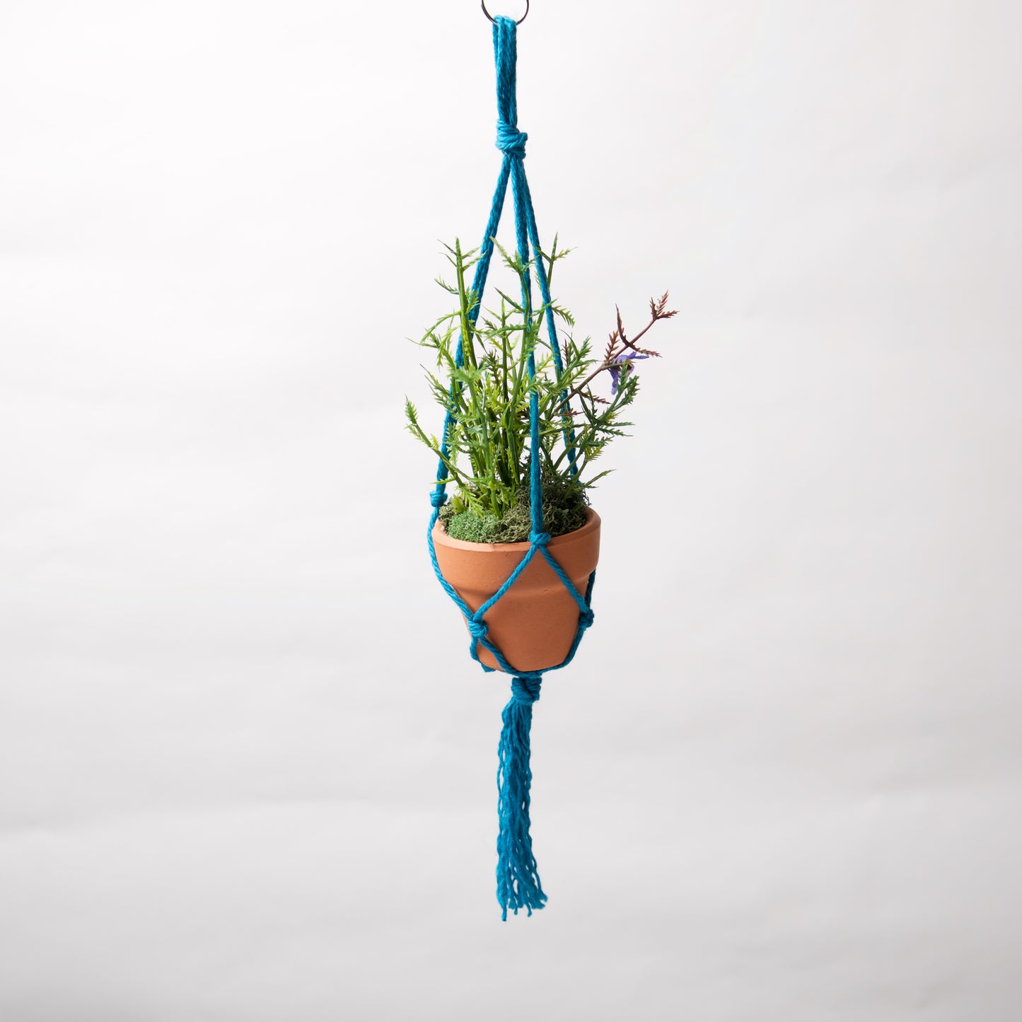 Macrame Tiny pot holder by Springer - © Blue Pomegranate Gallery