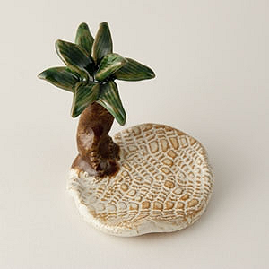 Beach Habitat by Cindy Pacileo - © Blue Pomegranate Gallery